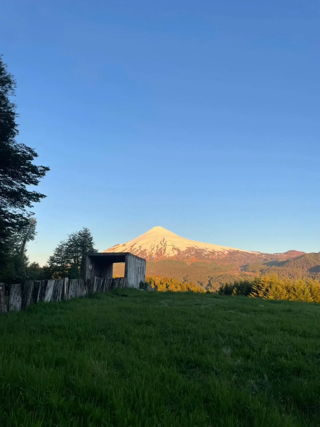 Actividad Pinohuacho